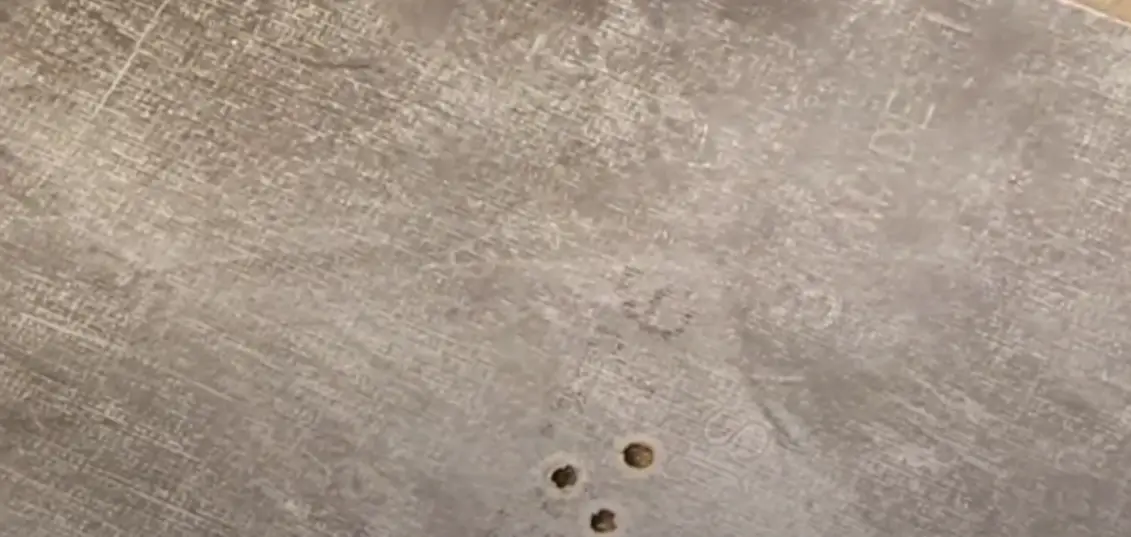 How to Drill Through Carpet? ToolsProfy