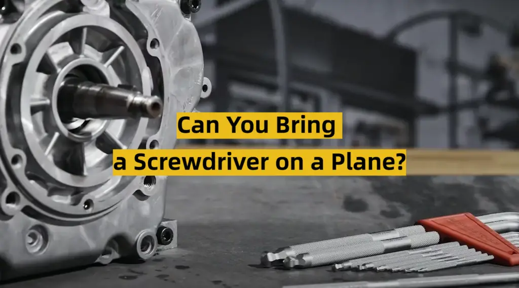 Can You Bring a Screwdriver on a Plane? ToolsProfy
