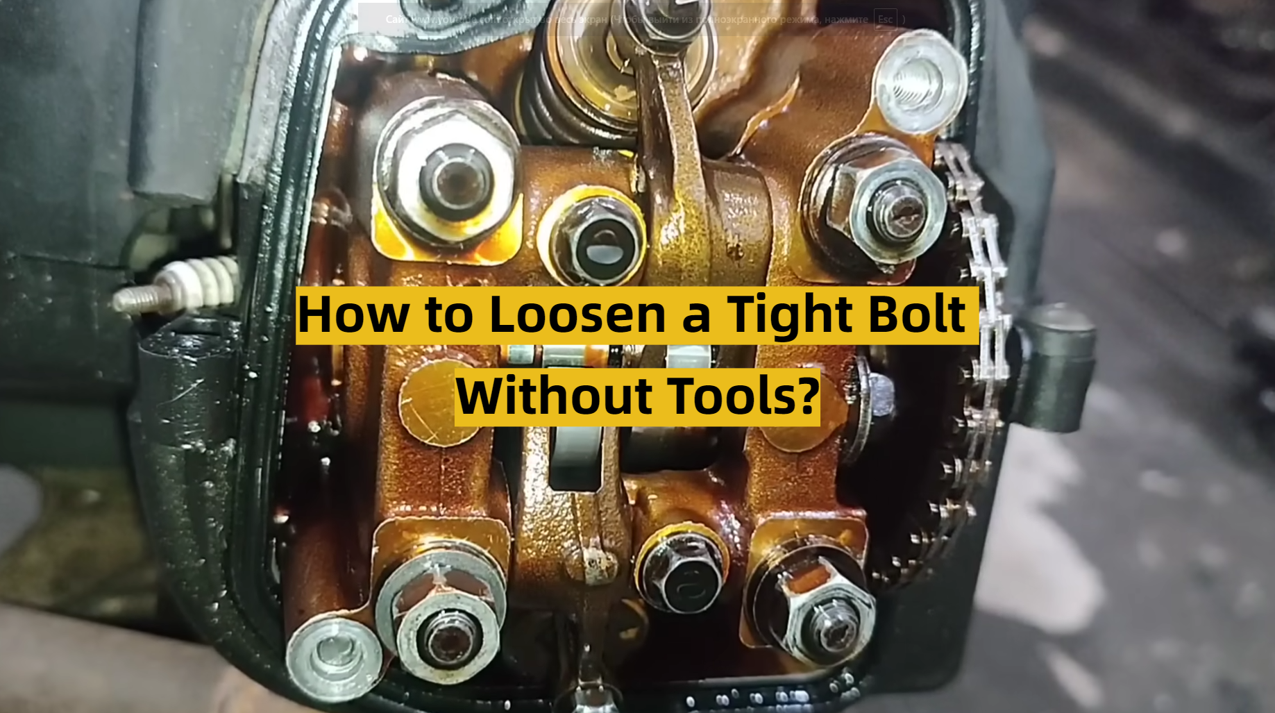 How to Loosen a Tight Bolt Without Tools? ToolsProfy