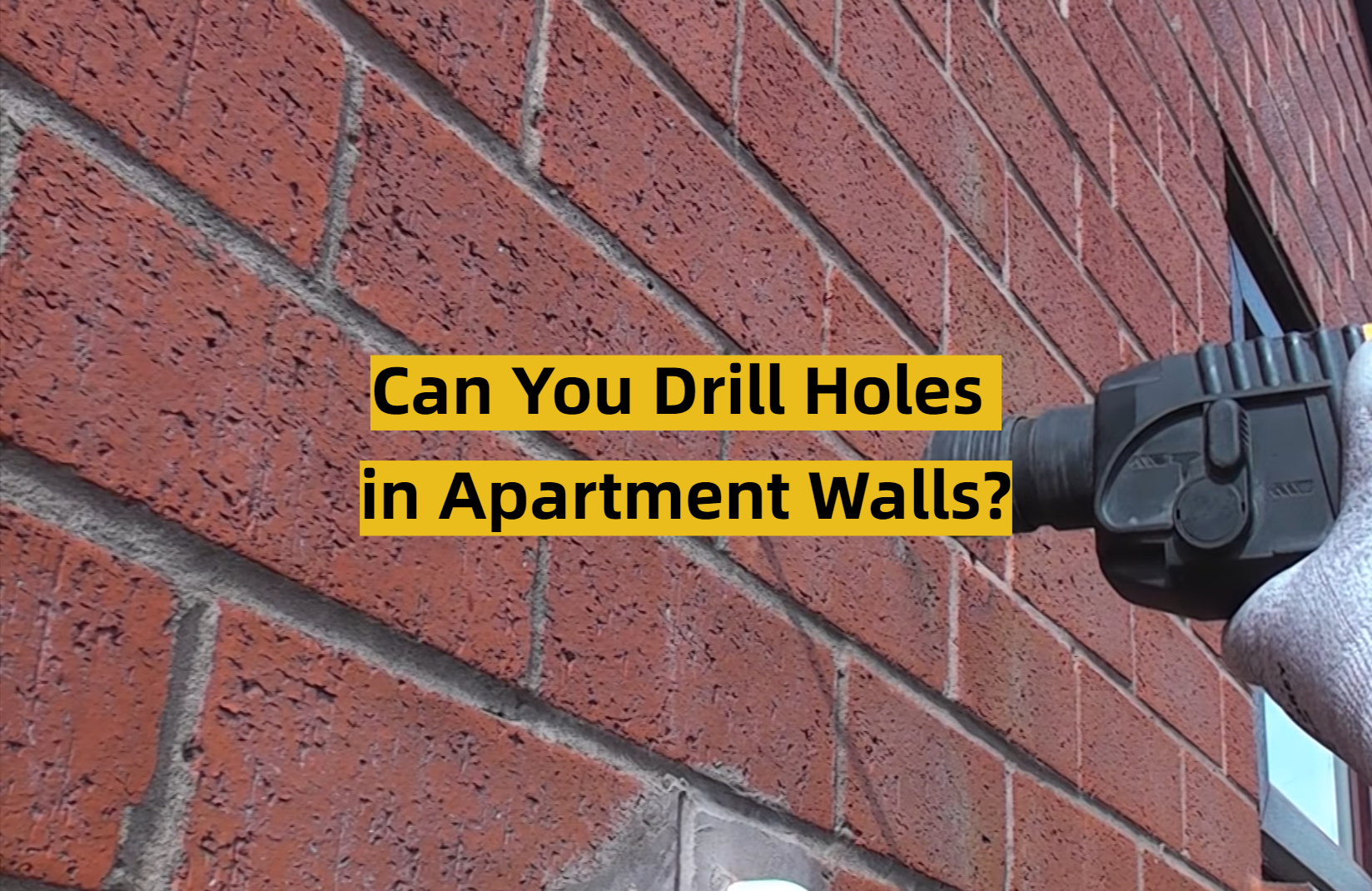 Can You Drill Holes in Apartment Walls? ToolsProfy