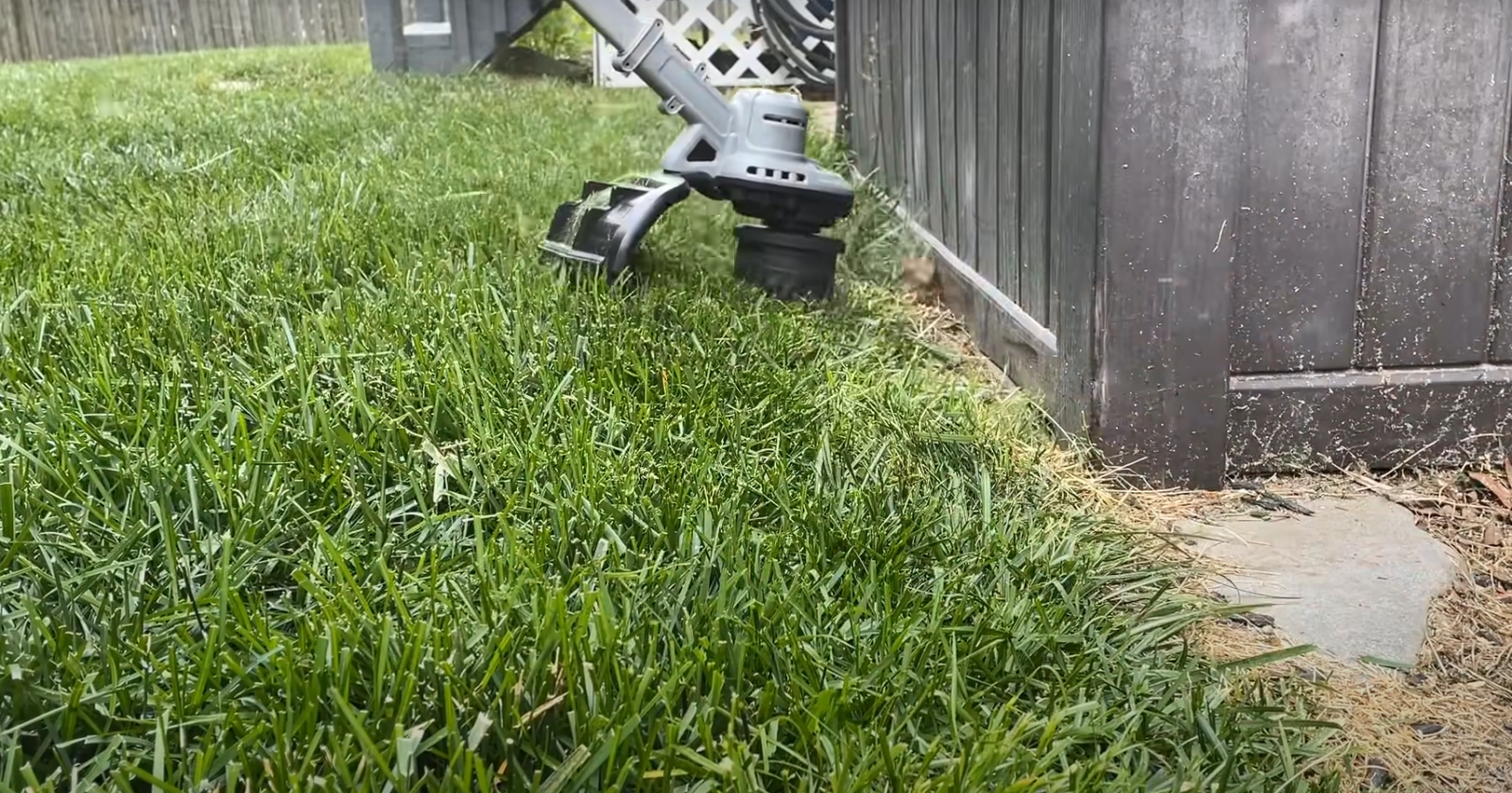 DeWalt 20V String Trimmer Problems ToolsProfy