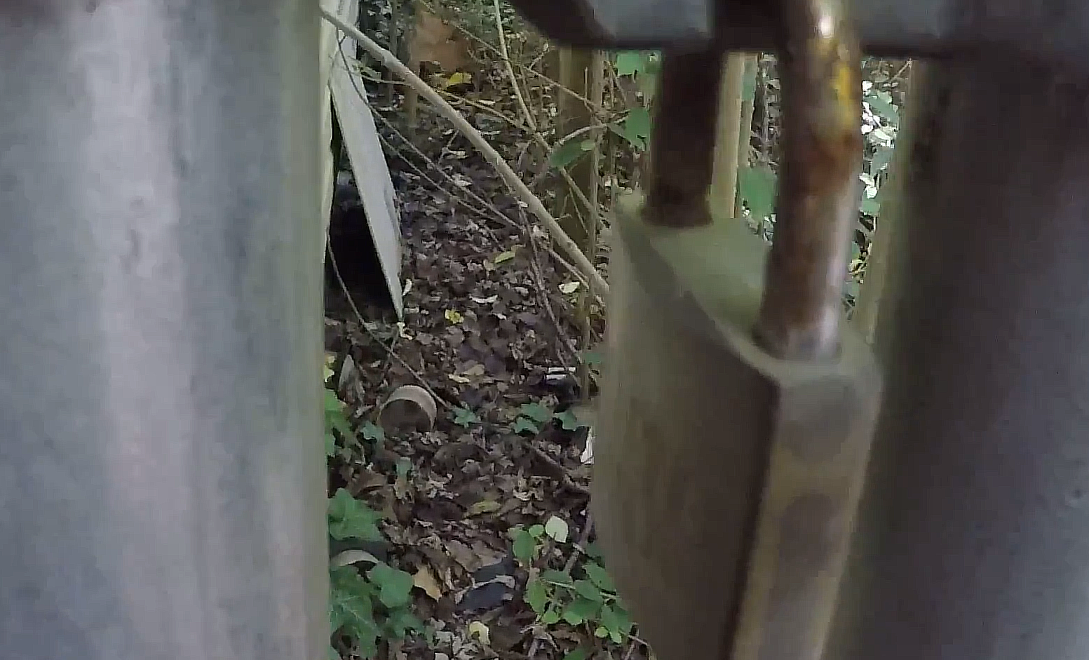 How to Break a Lock Without Bolt Cutters? ToolsProfy