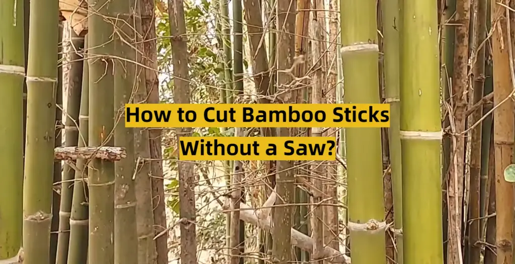 How to Cut Bamboo Sticks Without a Saw? ToolsProfy