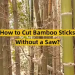 How to Cut Bamboo Sticks Without a Saw?