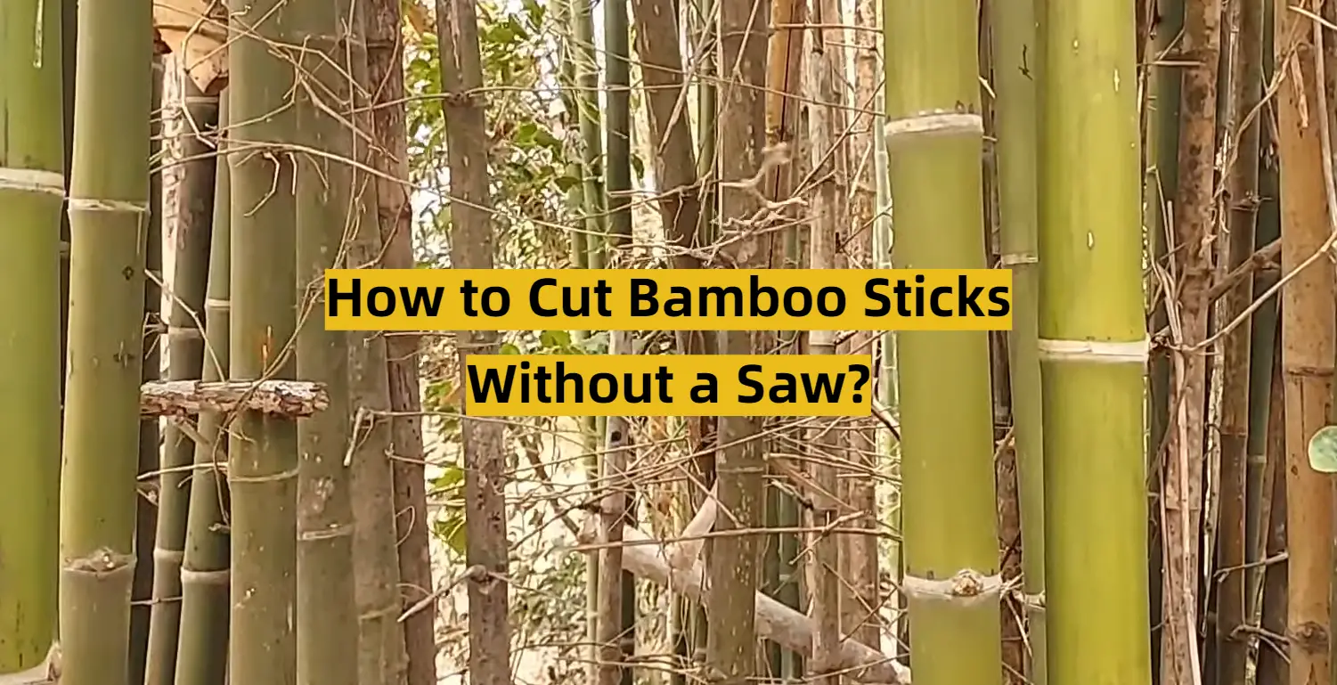 How to Cut Bamboo Sticks Without a Saw?