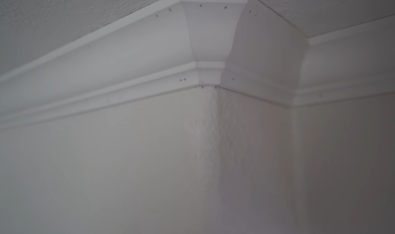 How to Cut Crown Molding Without a Miter Saw? ToolsProfy