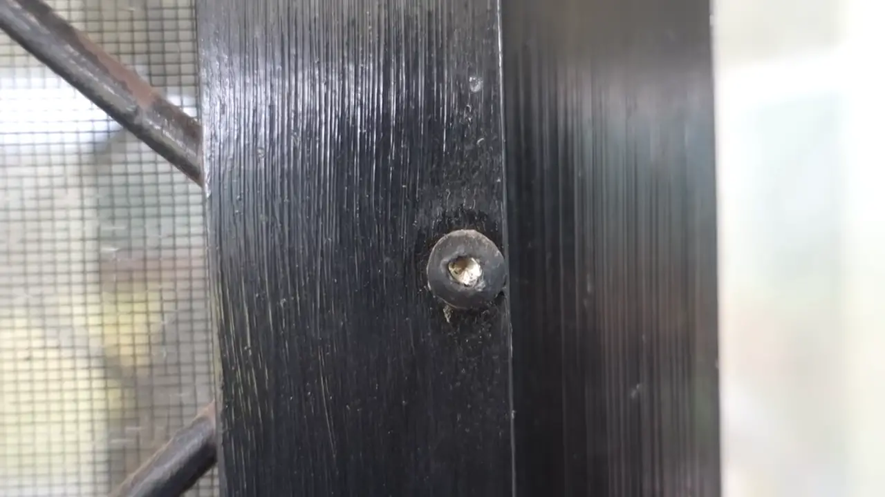 How to Remove Rusted License Plate Screws? ToolsProfy